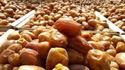تصویر 4 از قیمت خرید خرما خشک زاهدی + فروش ویژه